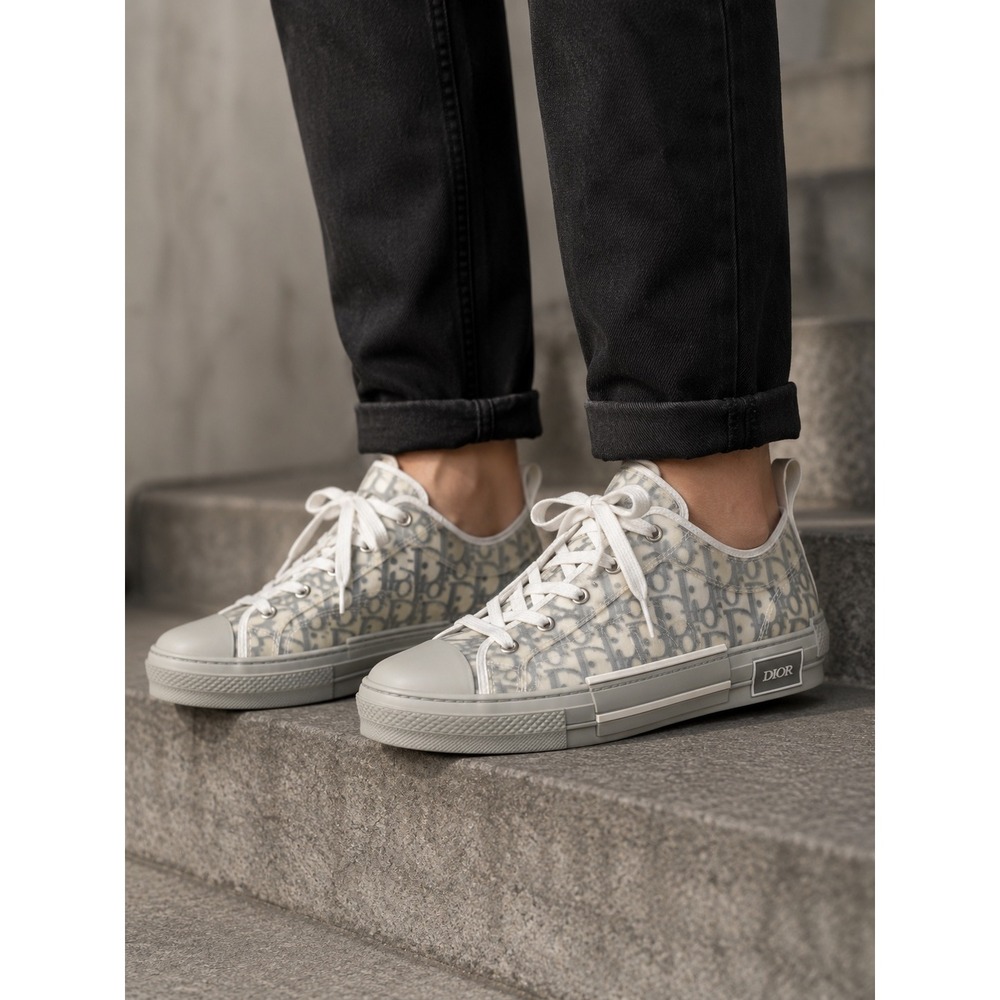 Dior B23 Low Top Sneaker Grey White Oblique Canvas Transparent 3SN249YJP